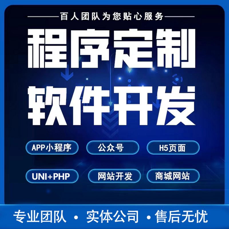 软件定制外包服务：企业数字化转型的重要助手