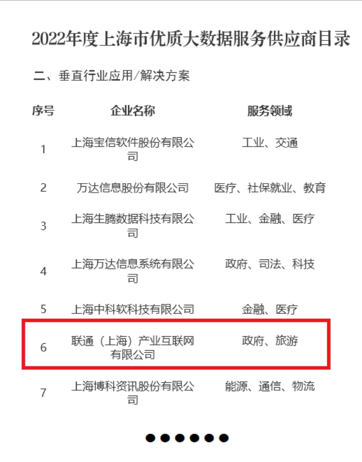 上海信息技术服务
